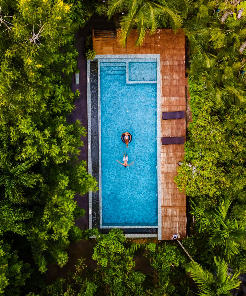 swimming-pool-in-the-jungle